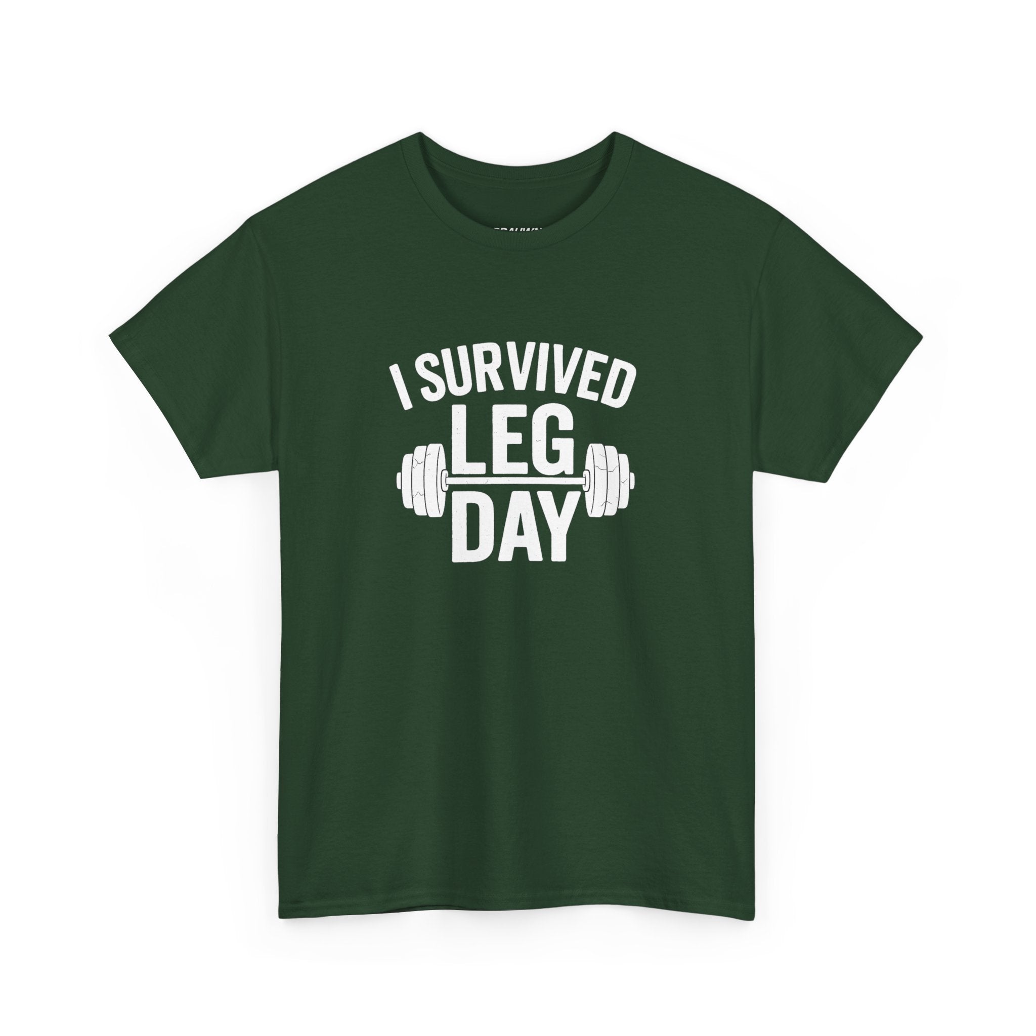 I Survived Leg Day Classic Tee