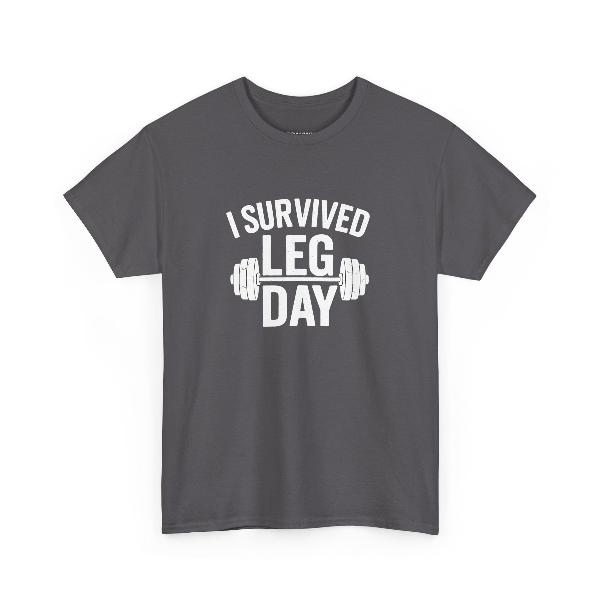I Survived Leg Day Classic Tee