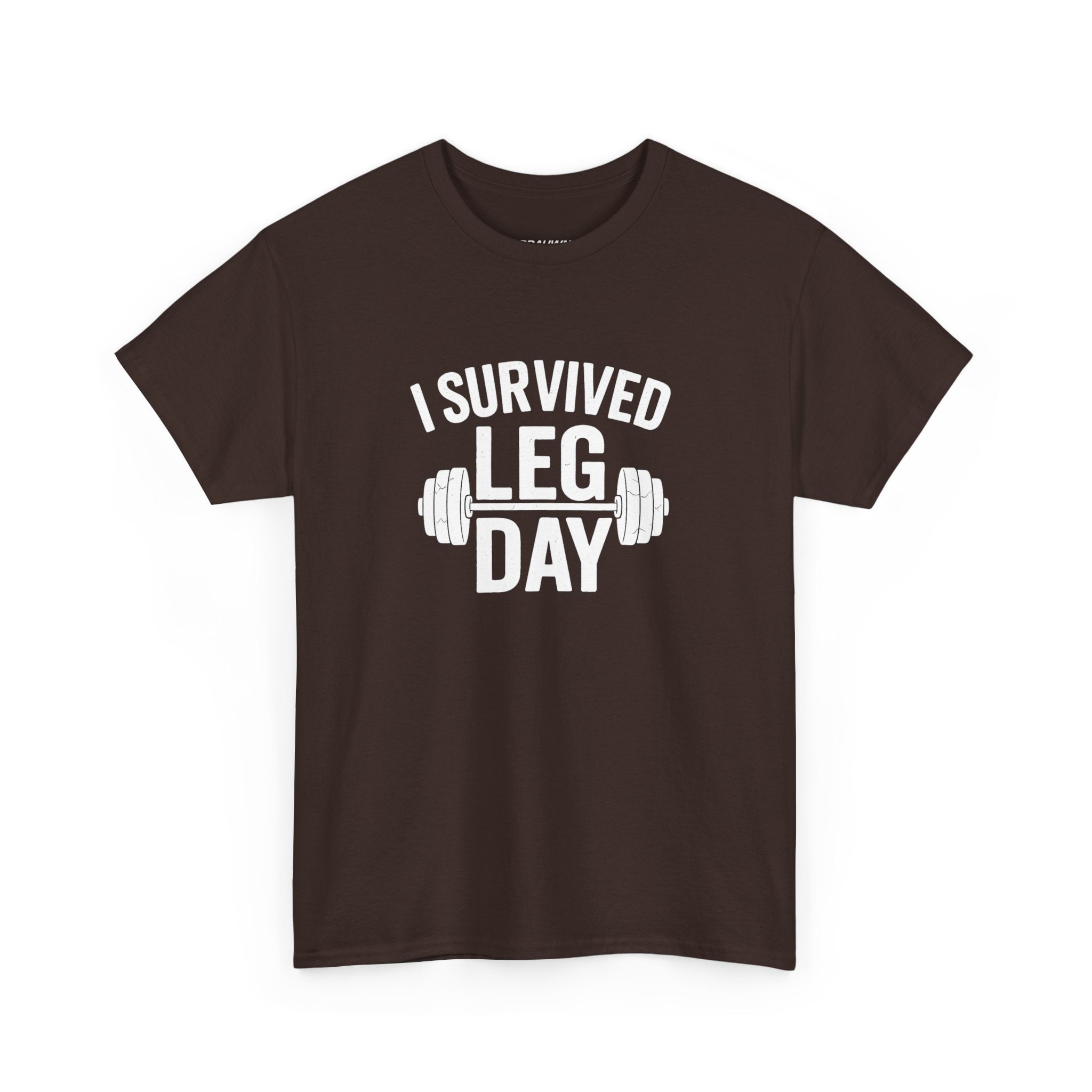 I Survived Leg Day Classic Tee