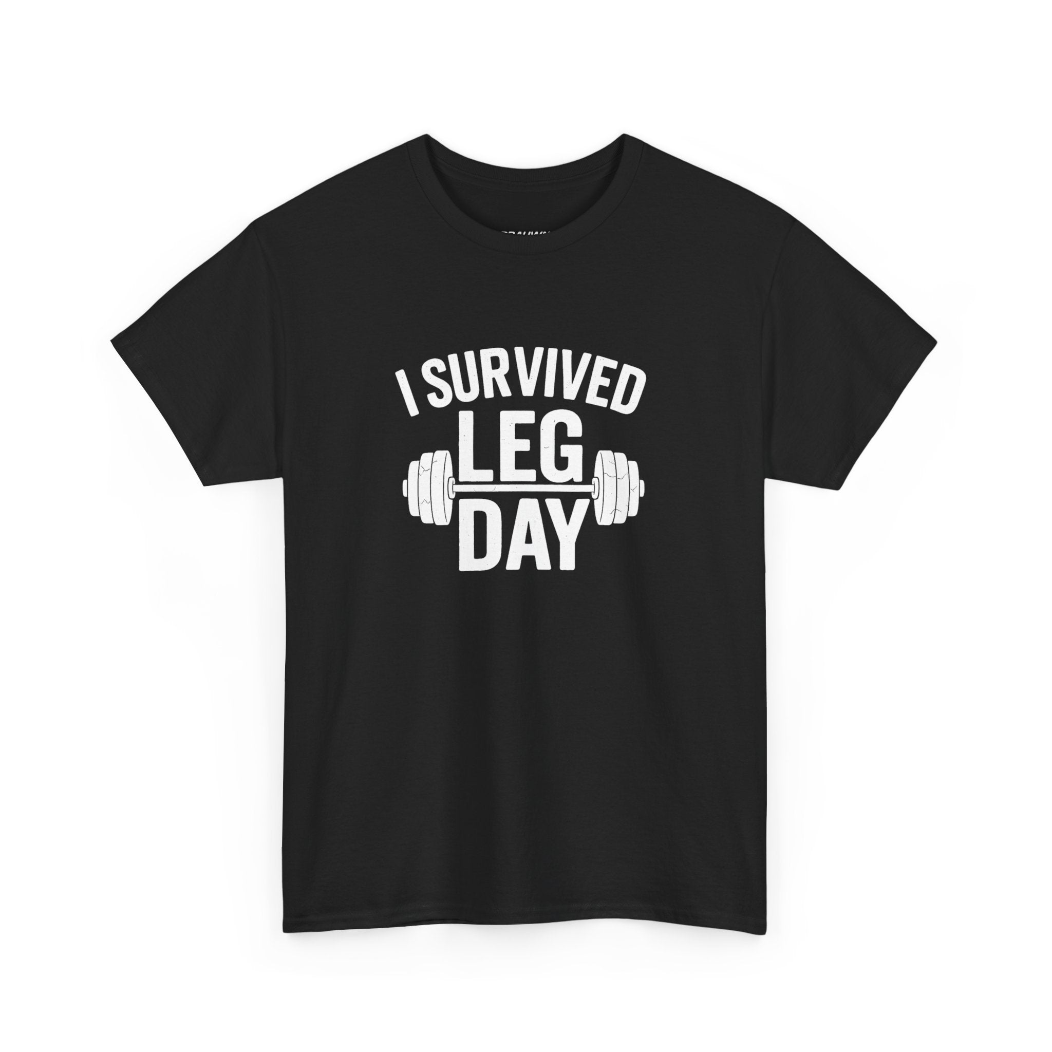 I Survived Leg Day Classic Tee