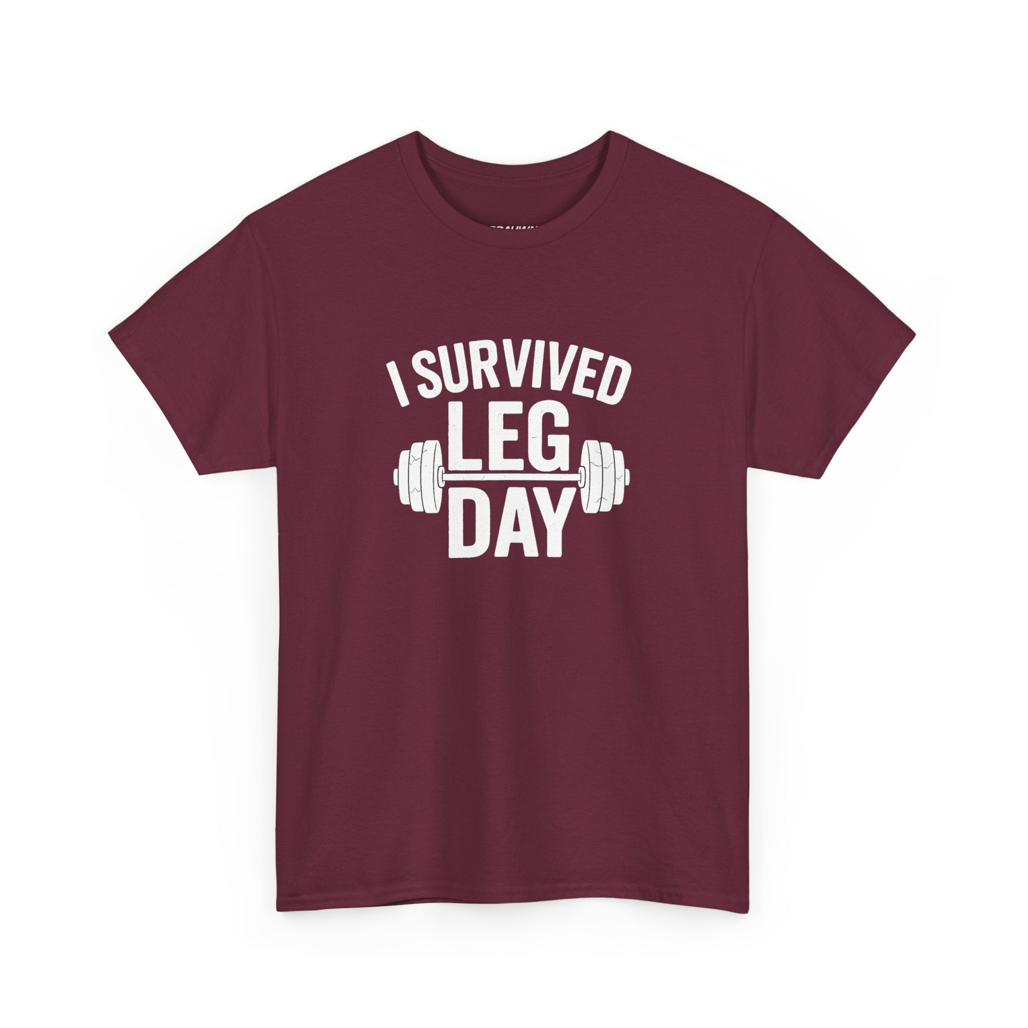 I Survived Leg Day Classic Tee
